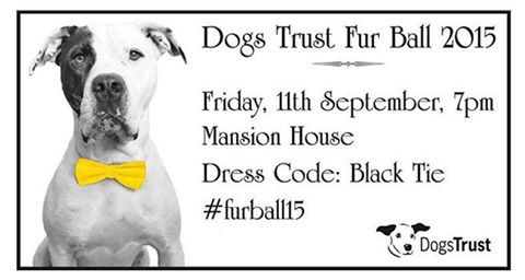 Dogs Trust Event at the Mansion House